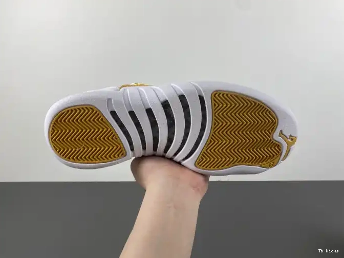 Rep TBK FD9101-007 12 Air Phantom WMNS Jordan 0514